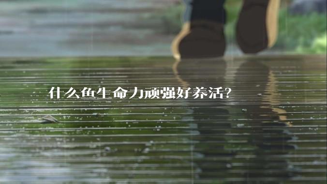 什么鱼生命力顽强好养活？